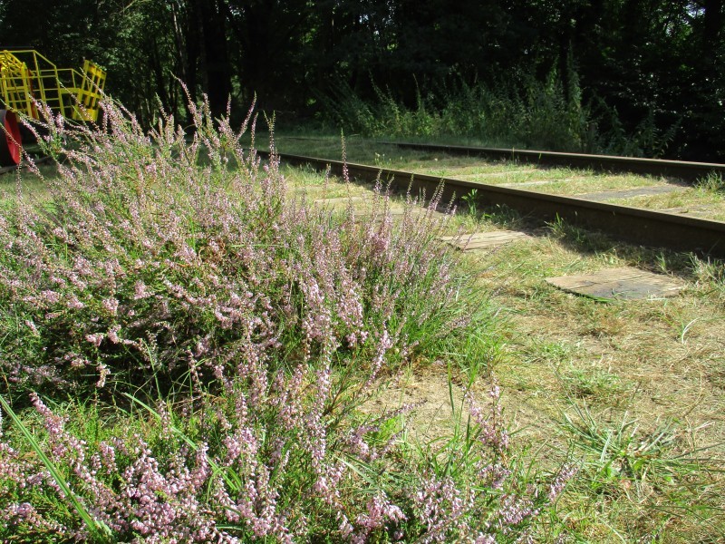 Bahnhof7
